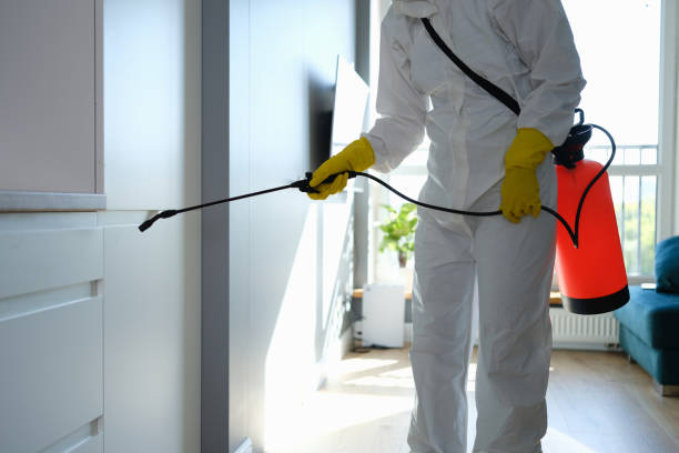 Best Mold Remediation for Schools in Danville, IA