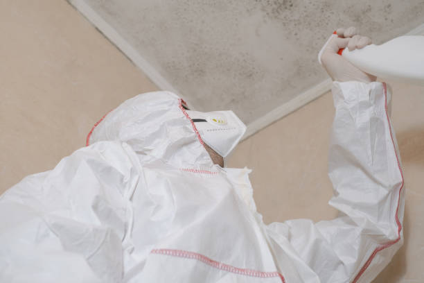 Best Bathroom Mold Remediation in Danville, IA