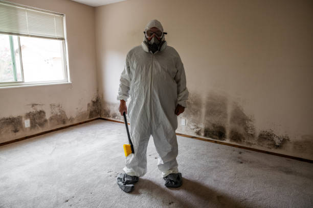 Best Mold Remediation for Specific Building Types in Danville, IA